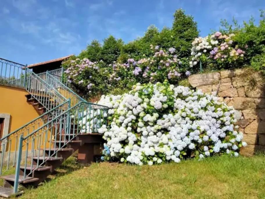 Confort, Fun And Leisure In Douro Rural Space Sande  Εξωτερικό φωτογραφία
