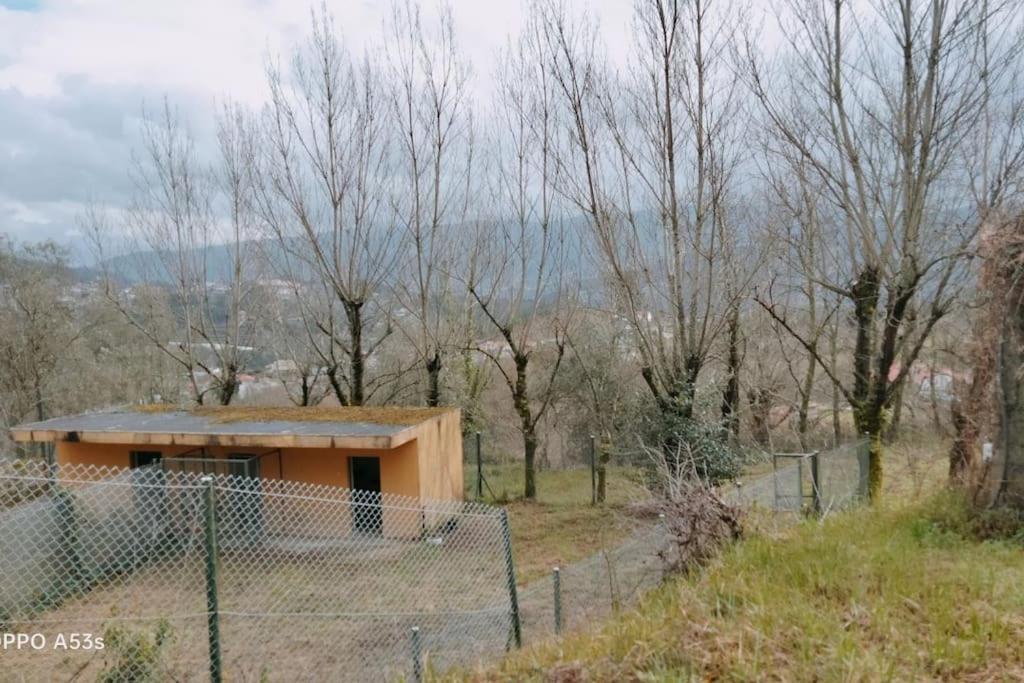 Confort, Fun And Leisure In Douro Rural Space Sande  Εξωτερικό φωτογραφία